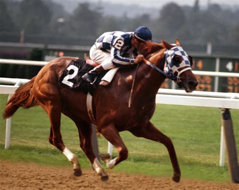 1973 belmont stakes video|Secretariat .